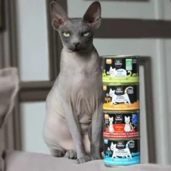 Mousse à la truite chat 200g - Petite Balade