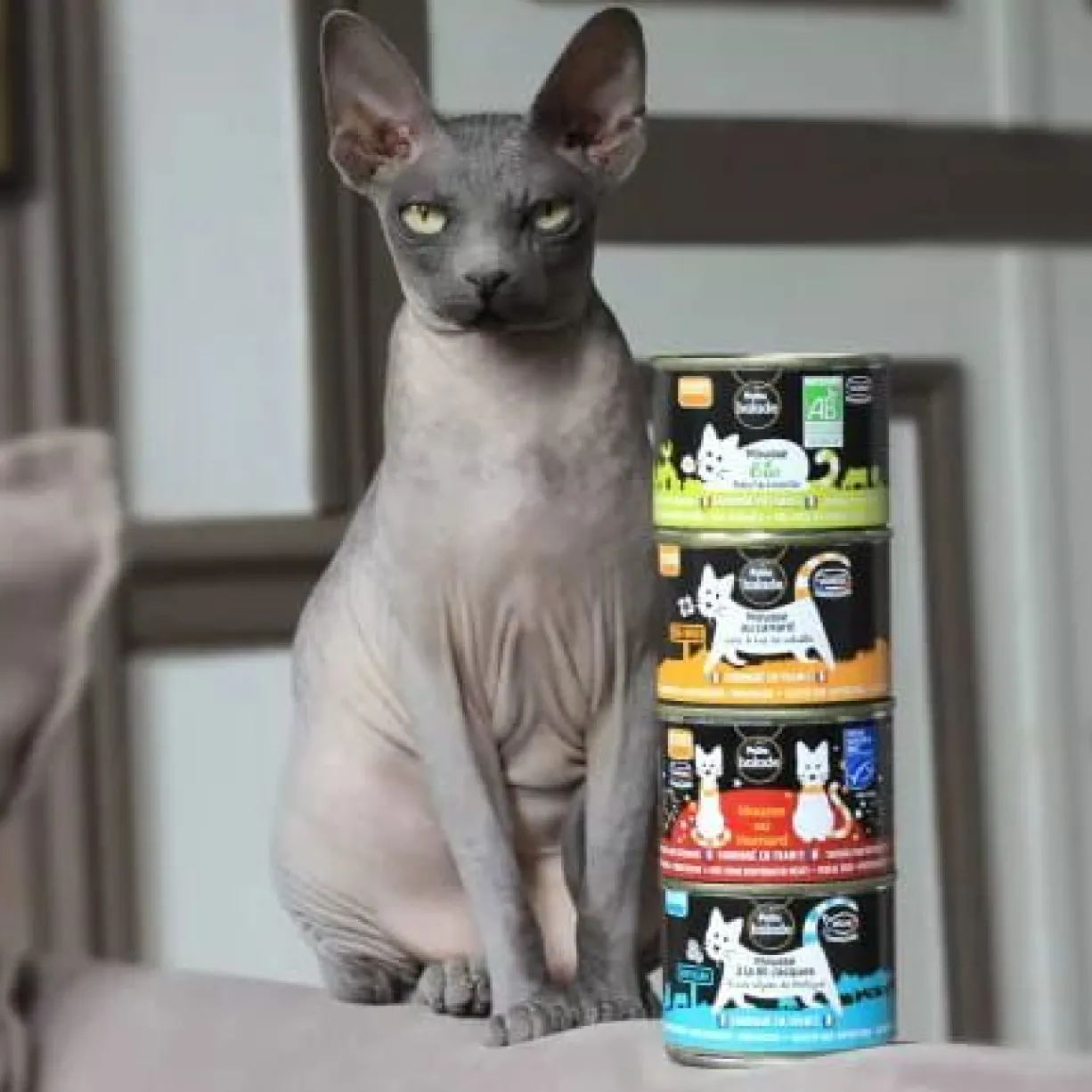 Mousse à la truite chat 200g - Petite Balade