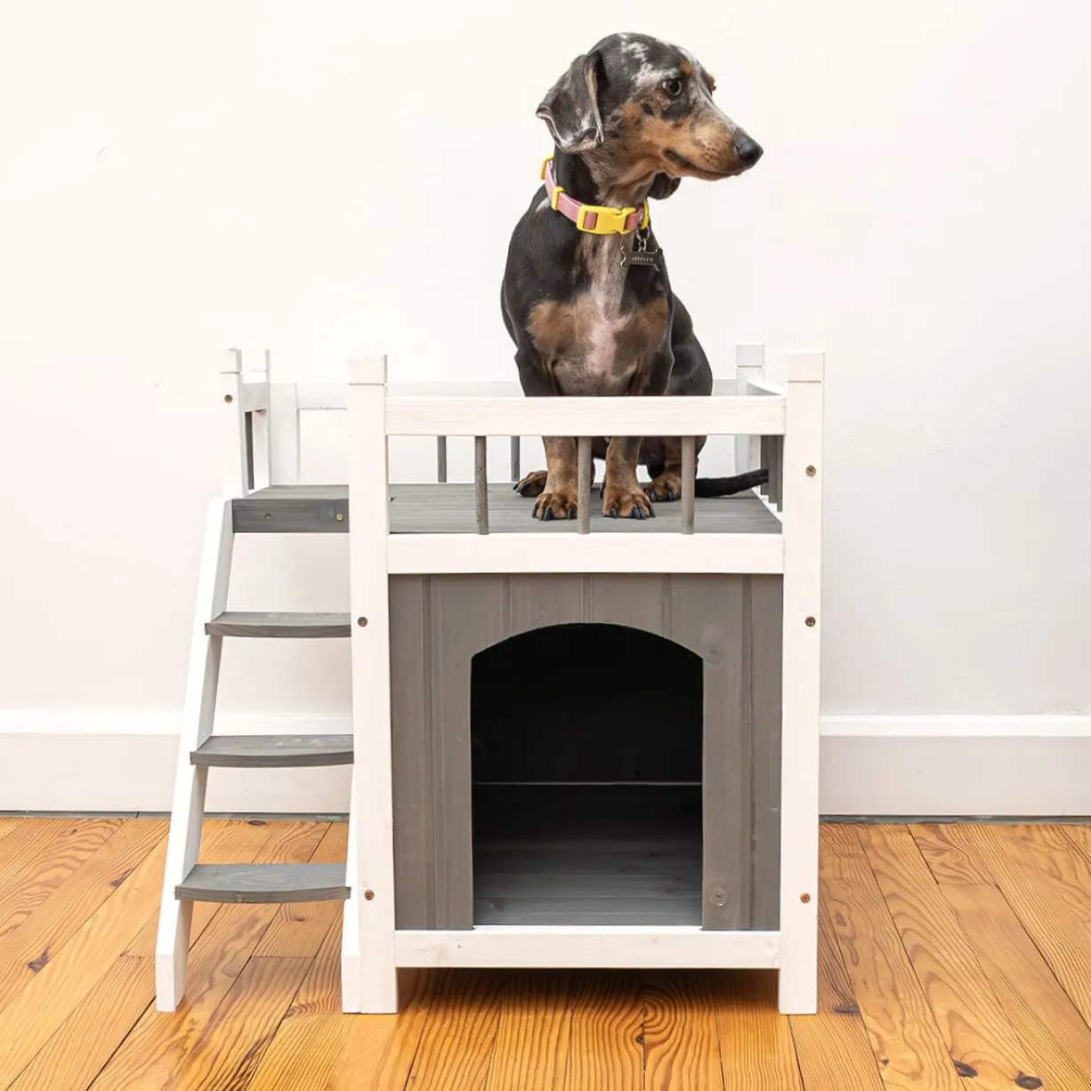 Niche pour chat et petit chien Iroquois avec balcon taille S