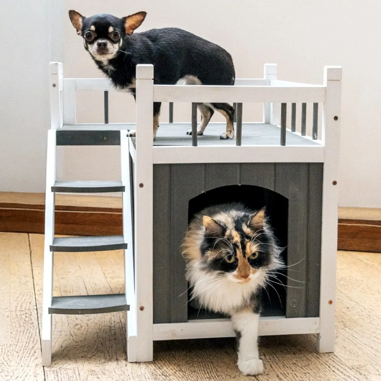 Niche pour chat et petit chien Iroquois avec balcon taille S