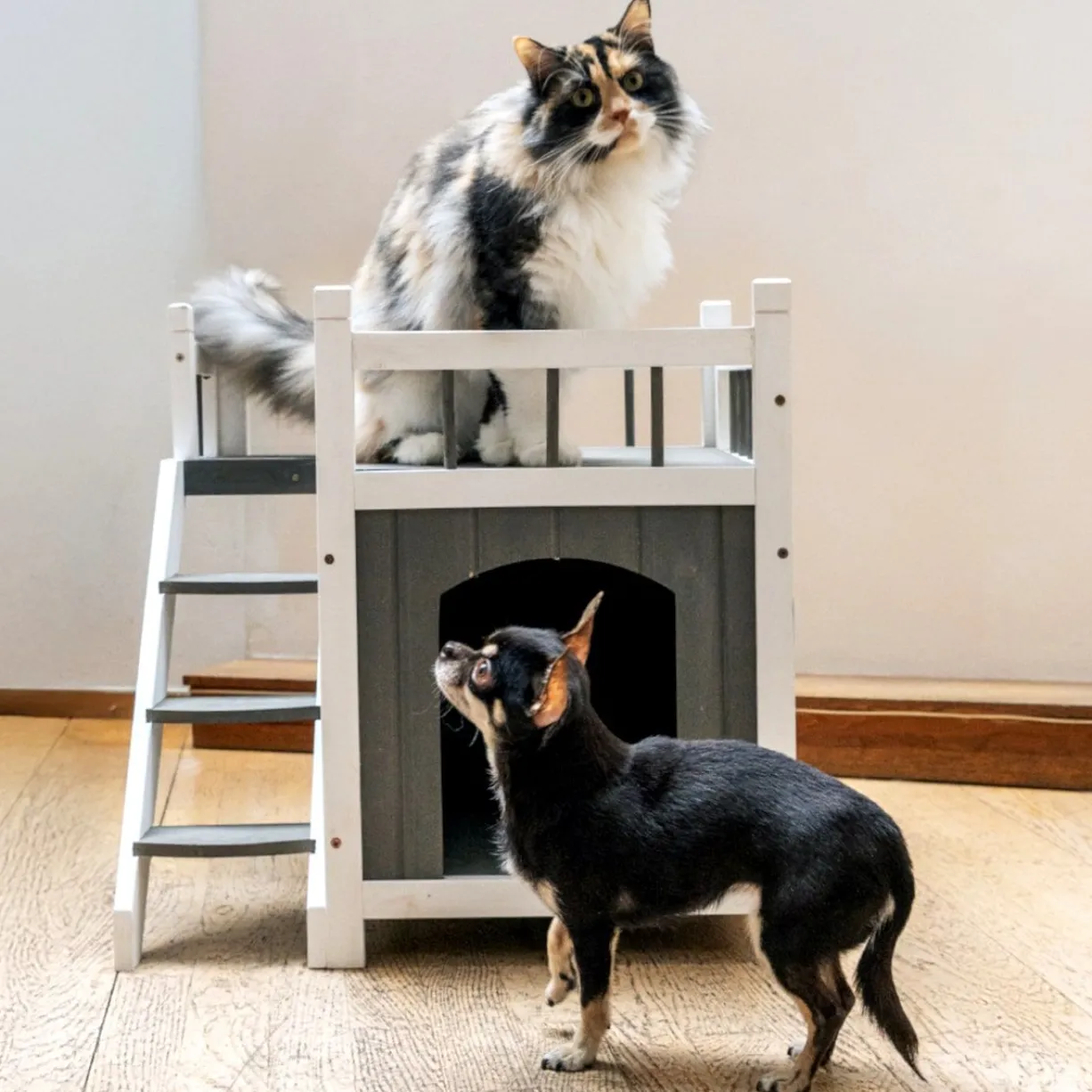 Niche pour chat et petit chien Iroquois avec balcon taille S