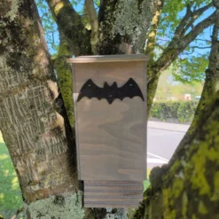 Nichoir chauve-souris petite taille bois FSC