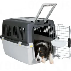 Panier de transport Gulliver Iata Taille 4 Gris - Zolux