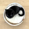 Panier pour chat en corde de papier avec coussin doux Ryan blanc - D&D Home