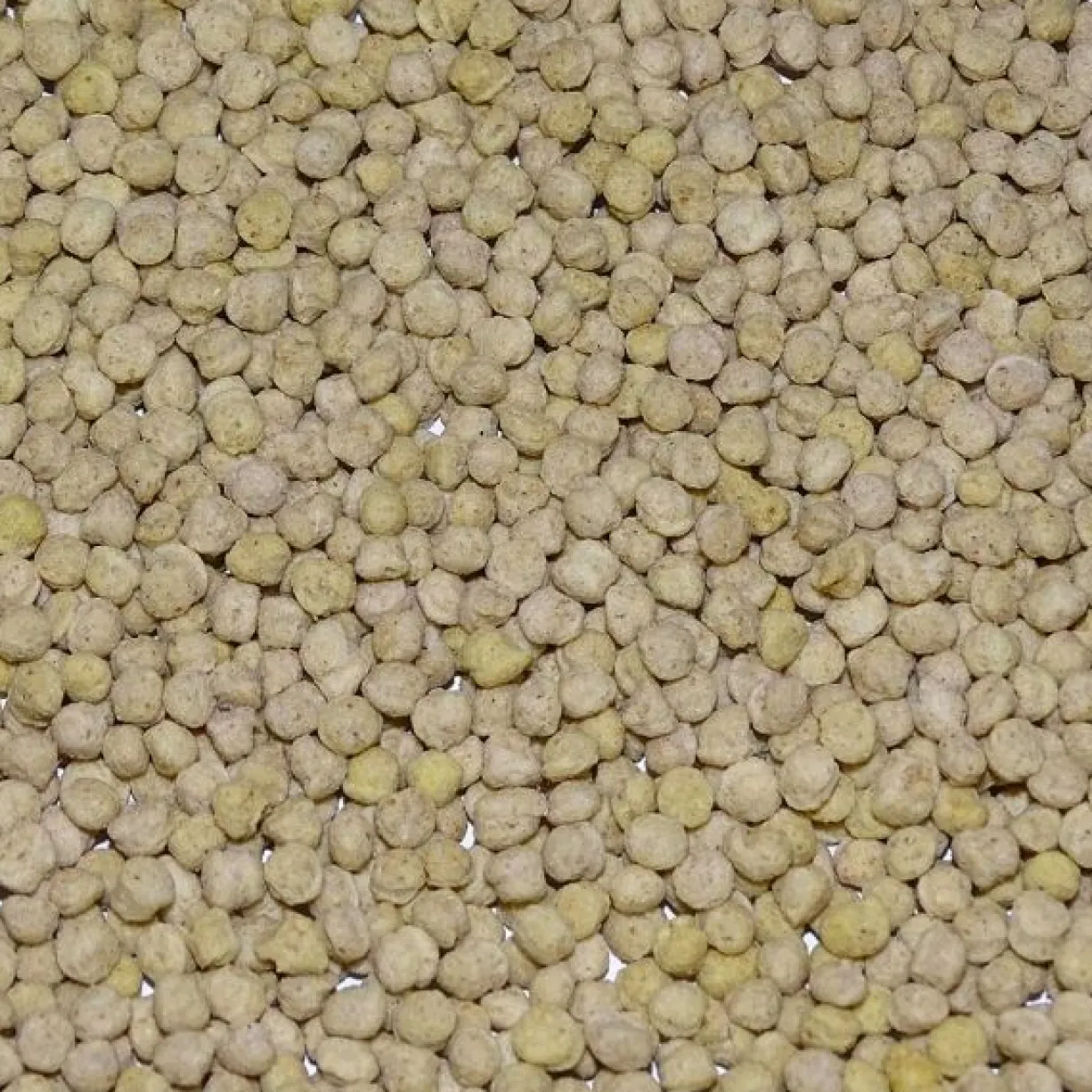 Perle morbide blanche pour oiseaux 800g - Ornitalia