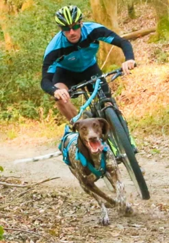 Pièce fixation pivot en L pour barre CANIVTT Link gamme ALM - I-DOG