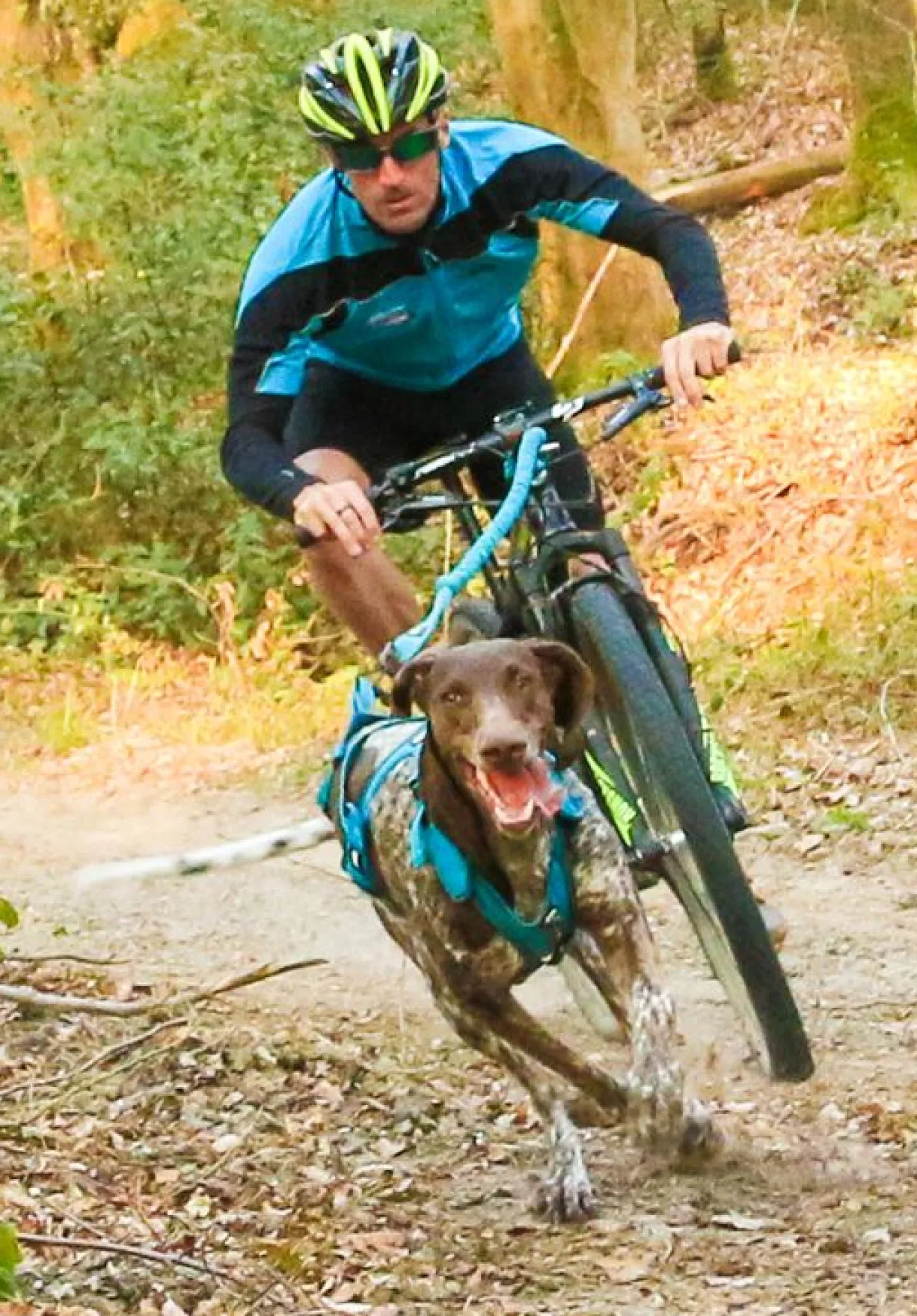 Pièce fixation pivot en L pour barre CANIVTT Link gamme ALM - I-DOG