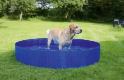 Piscine chien 340L diamètre 120cm bleue - Kerbl