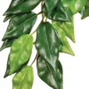 Plante Ficus silk Small - Exo Terra