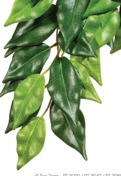 Plante Ficus silk Small - Exo Terra