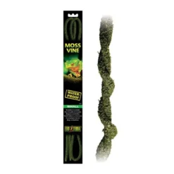 Plante pour terrarium liane de mousse Moss Vine Small - Exo Terra
