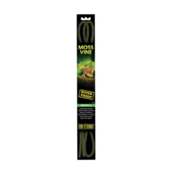 Plante pour terrarium liane de mousse Moss Vine Small - Exo Terra