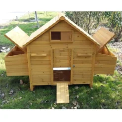 Pondoir poulailler Bassette XL