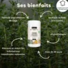 Poudre bien-être intestinal oiseaux Bio 40g - Biovetol
