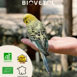 Poudre bien-être intestinal oiseaux Bio 40g - Biovetol