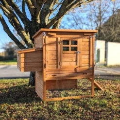 Poulailler Barbu M toit bois ouvrant jusqu’à 8 poules
