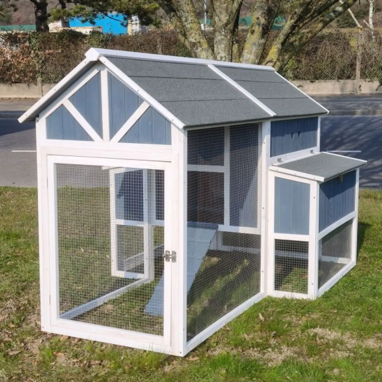 Poulailler Deluxe bleu toit shingle gris jusqu’à 12 poules avec extension parc grillagé