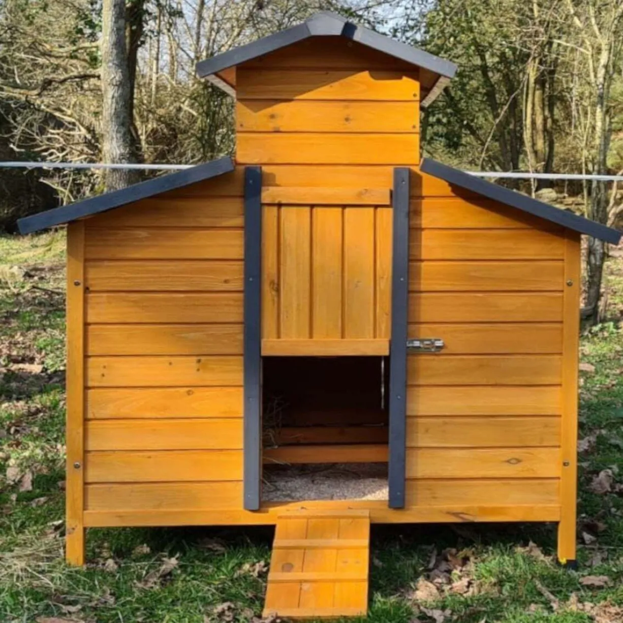 Poulailler Farmer XL toit tôle jusqu’à 10 poules Bois FSC