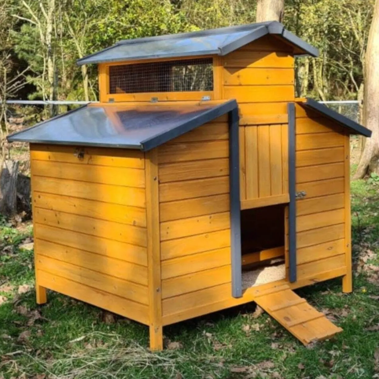 Poulailler Farmer XL toit tôle jusqu’à 10 poules Bois FSC