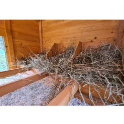 Poulailler Farmer XL toit tôle jusqu’à 10 poules Bois FSC