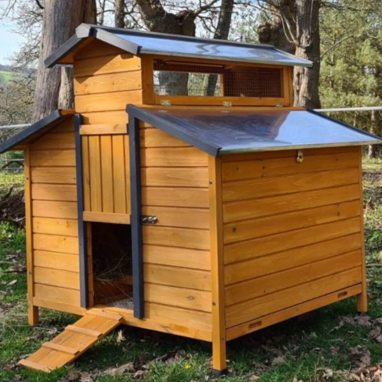 Poulailler Farmer XL toit tôle jusqu’à 10 poules Bois FSC