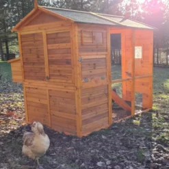 Poulailler Gaulois II toit shingle jusqu’à 10 poules