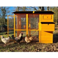 Poulailler Gaulois II toit shingle jusqu’à 10 poules