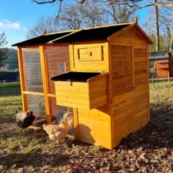 Poulailler Gaulois II toit shingle jusqu’à 10 poules
