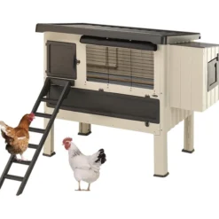 Poulailler Happy Farm 120 en plastique 2 à 4 poules - Ferplast