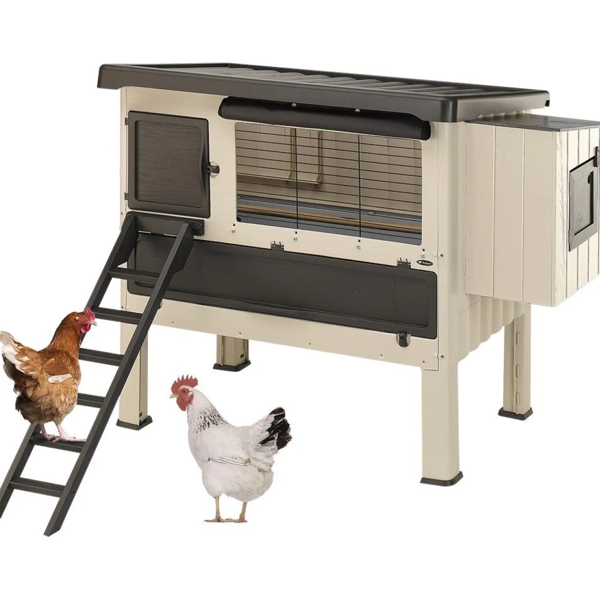 Poulailler Happy Farm 120 en plastique 2 à 4 poules - Ferplast