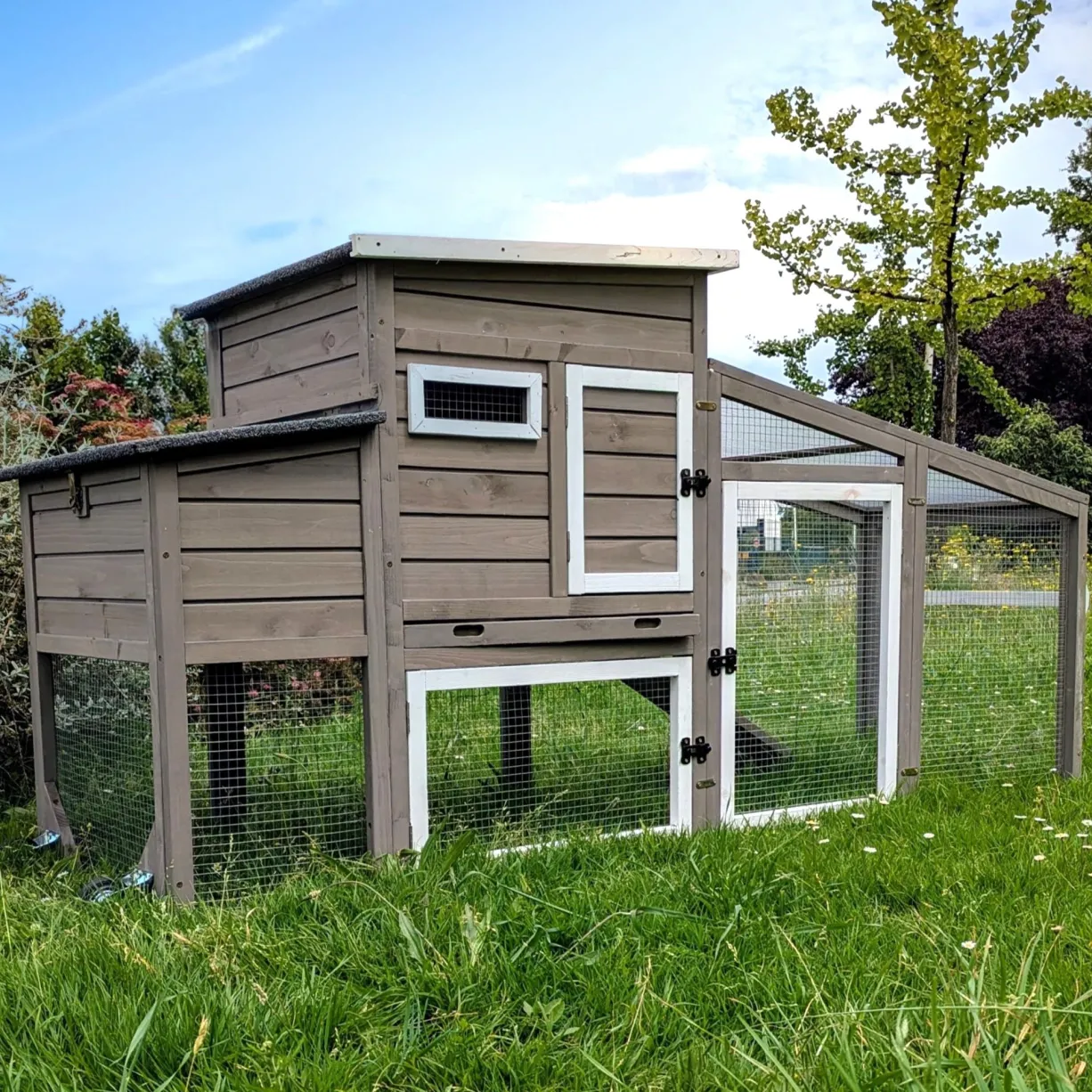 Poulailler mobile Sunny toit shingle et polycarbonate jusqu’à 6 poules