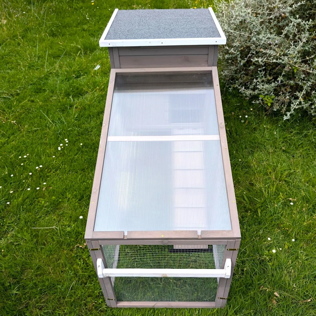 Poulailler mobile Sunny toit shingle et polycarbonate jusqu’à 6 poules