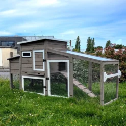 Poulailler mobile Sunny toit shingle et polycarbonate jusqu’à 6 poules