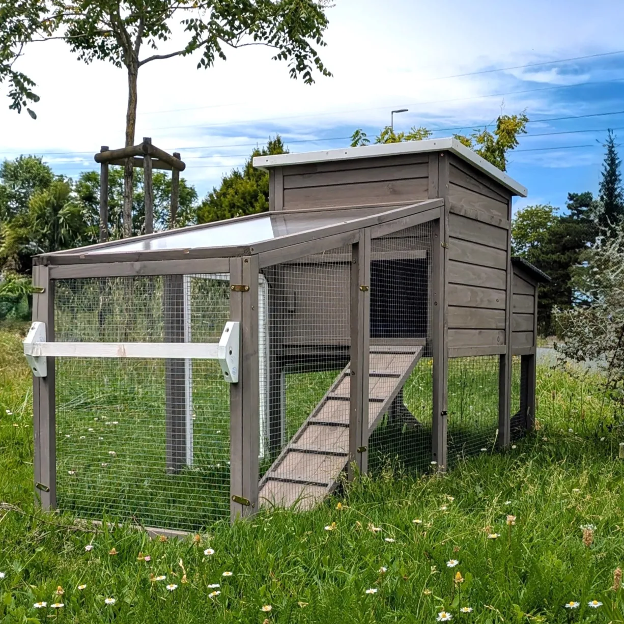 Poulailler mobile Sunny toit shingle et polycarbonate jusqu’à 6 poules