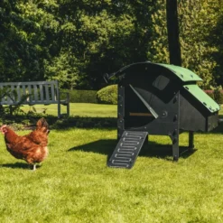 Poulailler Nestera taille S en plastique recyclé 3 à 5 poules sur pieds