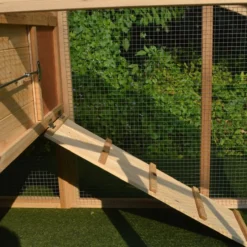 Poulailler Soie toit shingle et polycarbonate jusqu’à 6 poules