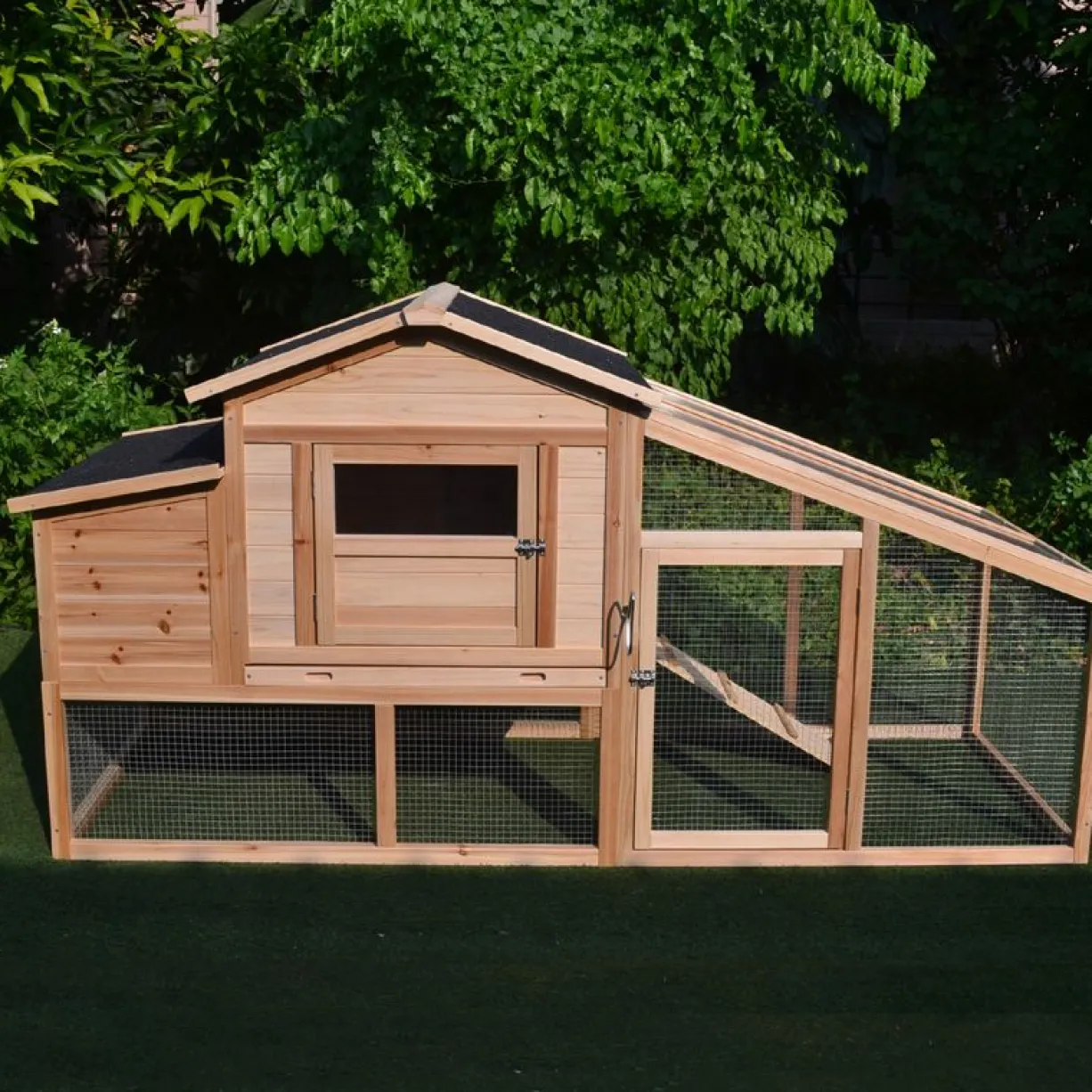 Poulailler Soie toit shingle et polycarbonate jusqu’à 6 poules