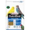 Pâtée fortifiante pour oiseaux d’ornement NutriBird Frutti Patee 1kg - Versele Laga