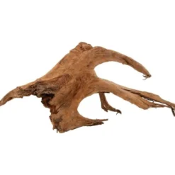 Racine mangrove 40/60cm - Zolux