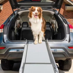 Rampe télescopique chien Happy Ride - PetSafe