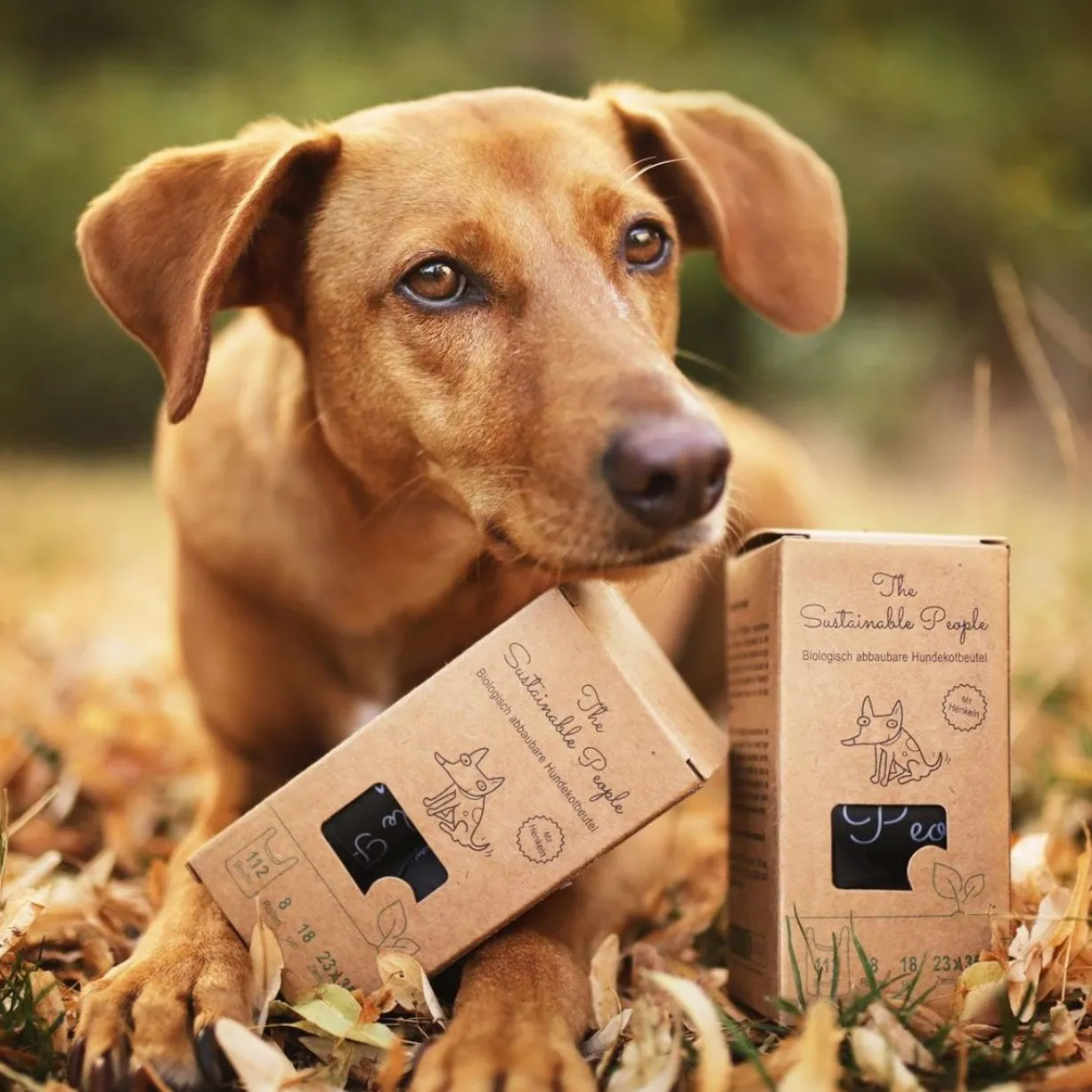 Sacs à déjections chien certifiés compostables 3 x 8 rouleaux - The Sustainable People