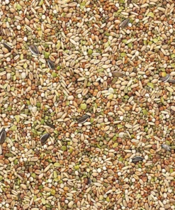 Snack Garden Mix 1Kg - Versele Laga