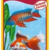 Starter pour filtres d’aquarium eau douce Filter Biostart 50ML - Sera