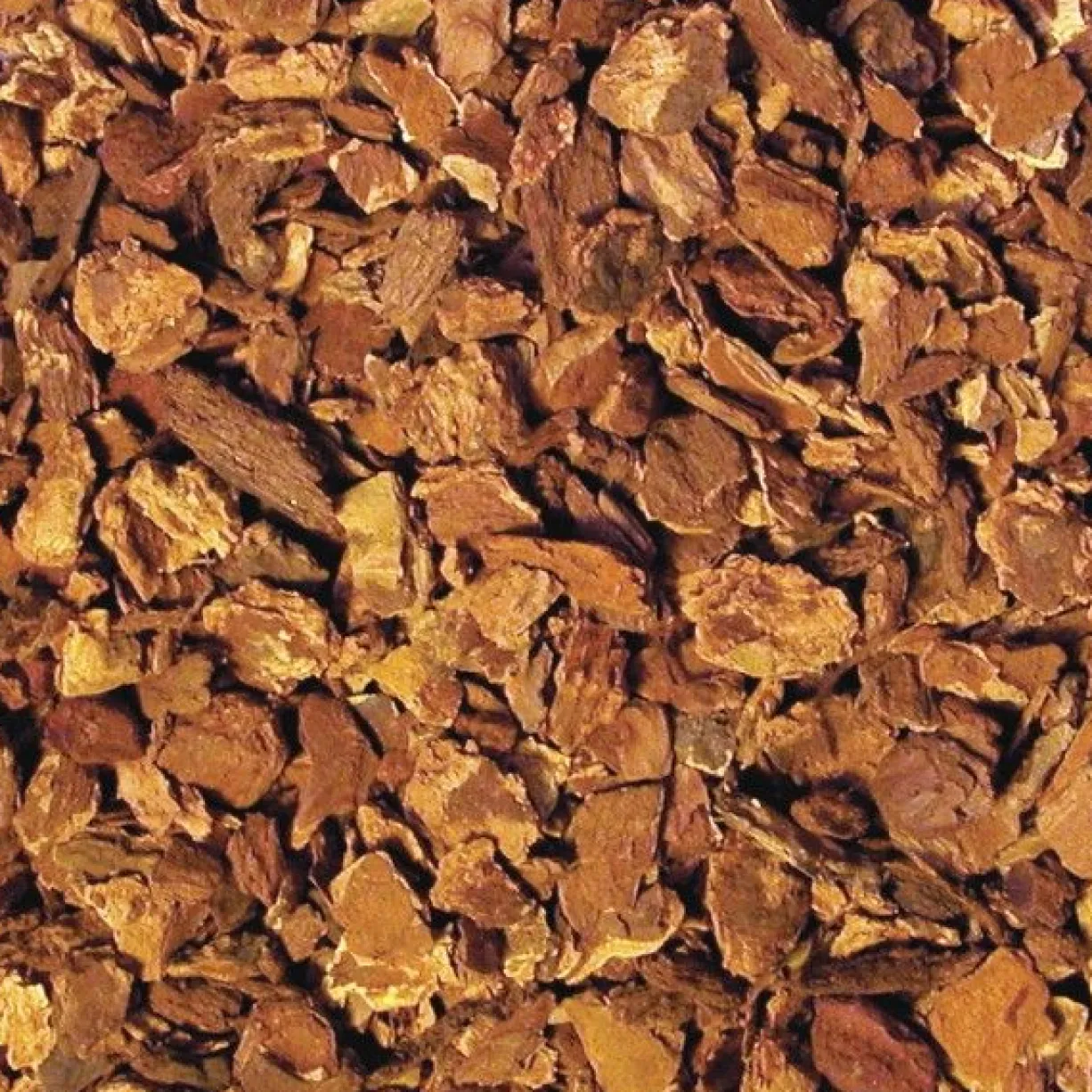 Substrat terrarium écorce sapin Repti Bark 2,5Kg – ZooMed