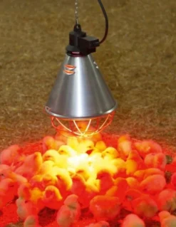 Support de lampe simple IPX4 avec économiseur 2.5m - Eleveuse électrique