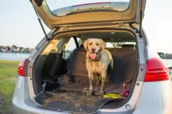 Tapis de coffre de voiture Cargo Cape – Kurgo