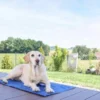 Tapis rafraîchissant chien Cool-Relax 90x50cm bleu - Kerbl