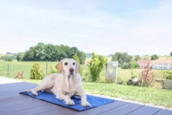 Tapis rafraîchissant chien Cool-Relax 90x50cm bleu - Kerbl
