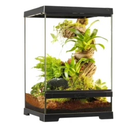 Terrarium paludarium 30x30x45cm reptile et amphibien Pro Terrarium PT4401 - Exo Terra