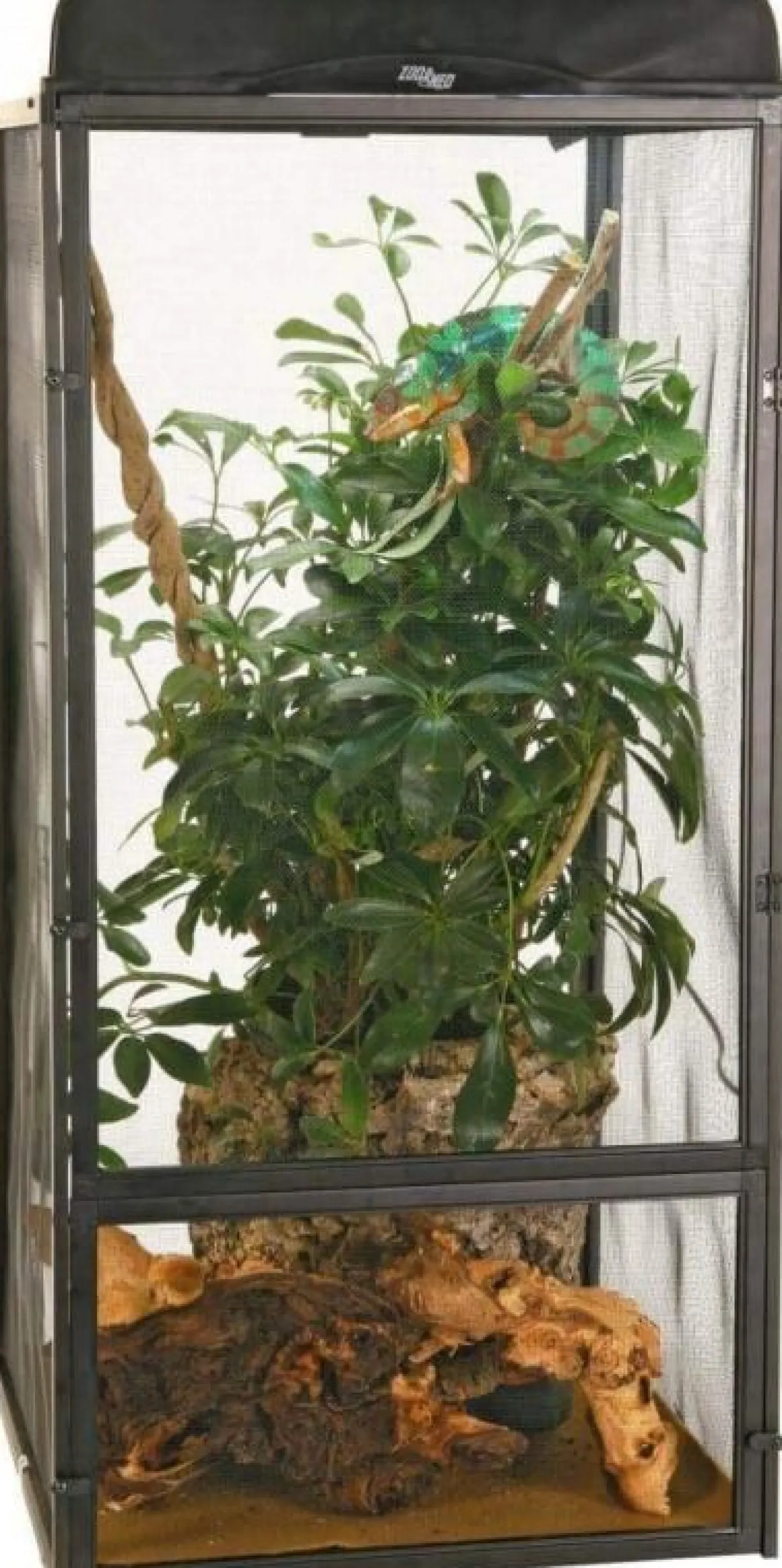 Terrarium reptile arboricole Reptibreeze XL 61x61x122 aluminium noir - Zoo Med